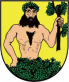 Město Albrechtice