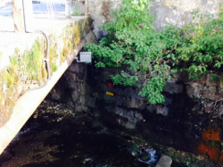 Nové Město pod Smrkem (Lomnice)