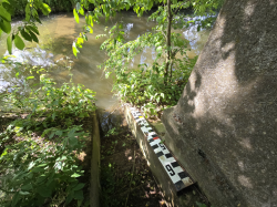 Roudnice (Bystřice)