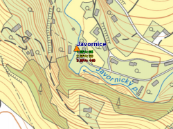 Javornice (Javornický p.)