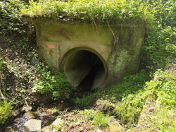 Rudník - Javorník (Javornický potok)