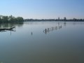 Hradecký rybník - od středu směrem k centru Tovačova