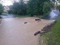 Lokální záplavy při přívalových srážkách v západná části obce (rozvodněný vodní tok IDVT: 10274423) 