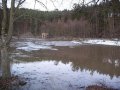 Povodeň na vodním toku Jasinka v roce 2005 - zatopení okolních pozemků v obci Naloučany 5