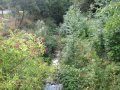 Charakter vodního toku Říčanský p. v intravilánu městyse Ostrovačice