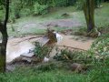 Povodeň v roce 2009 - škody po povodni - koryto v Hluzově