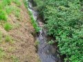 Charakter Němčického potoka po výtoku z kanalizace