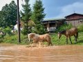 Povodeň srpen 2019 - u sběrného dvora u koní