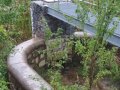 Starý rybník (Kokovický rybník) - bezpečnostní přepad s vodočetnou latí (foto z hráze)