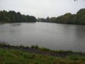 Nový rybník (Rybník Klobuky) - stav k 10/2020 (foto z hráze)