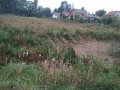 Starý rybník (Kokovický rybník) - stav k 10/2020 (foto z hráze)