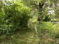 Povodeň 27. 6. 2020 - rozvodněný Olbramovický potok