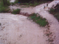 Povodeň v severozápadní části Benátecká Vrutice, ve městě Milovice I.
