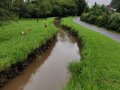 Charakter Hodoňovického náhonu v katastru Hodoňovice