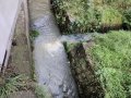 Soutok Hodoňovického potoka a bezejmenného toku u Kaple Panny Marie