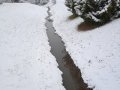 Pohled na řeku Blata směrem na jih z mostu, který je umístěn na východě Těšetic