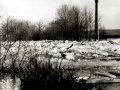 Povodně na Rokytné v roce 1985
