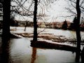 Velká voda na Rokytné - březen 2006 - zatopené zahrady