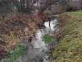 Charakter koryta toku Anenský potok