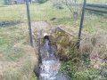 Vyústění Prorubského potoka ze zatrubnění v ř. km 1.637