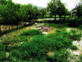 Povodeň 17. května 2010 (zaplavené zahrady)