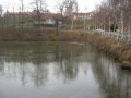 Vesní rybník 2