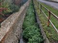 Charakter toku Nedvědka v obci - opevněné zarůstající koryto