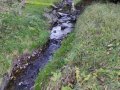 Charakter koryta Kotvrdovického potoka