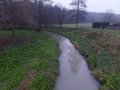 Charakter Třebůvky v ř. km 29,21