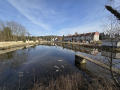 Pivovarský rybník