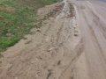 Naplavování splavenin z polí na místní komunikace (silnice směr Labuty)