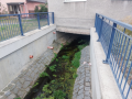 Průběh Radslavického potoka pod hasičskou zbrojnicí II